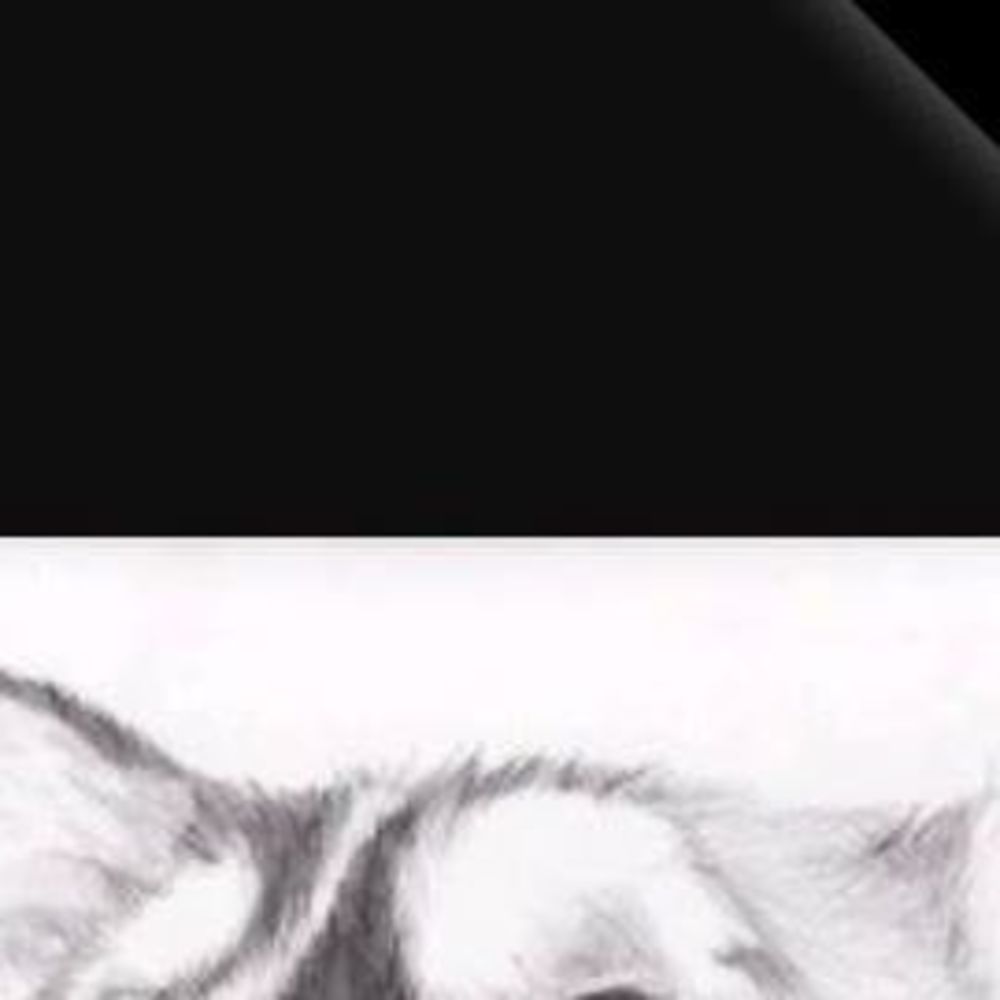 Meet your Posher, Kiera